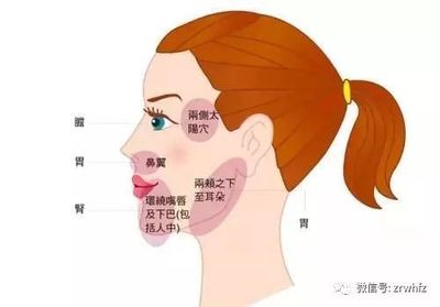 上嘴唇长痘痘怎么调理