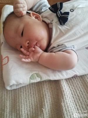 两个月的宝宝吃手