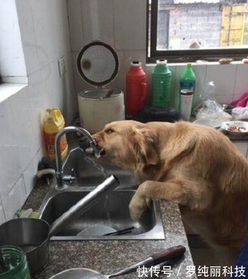 厨房的水不让别人用怎么写