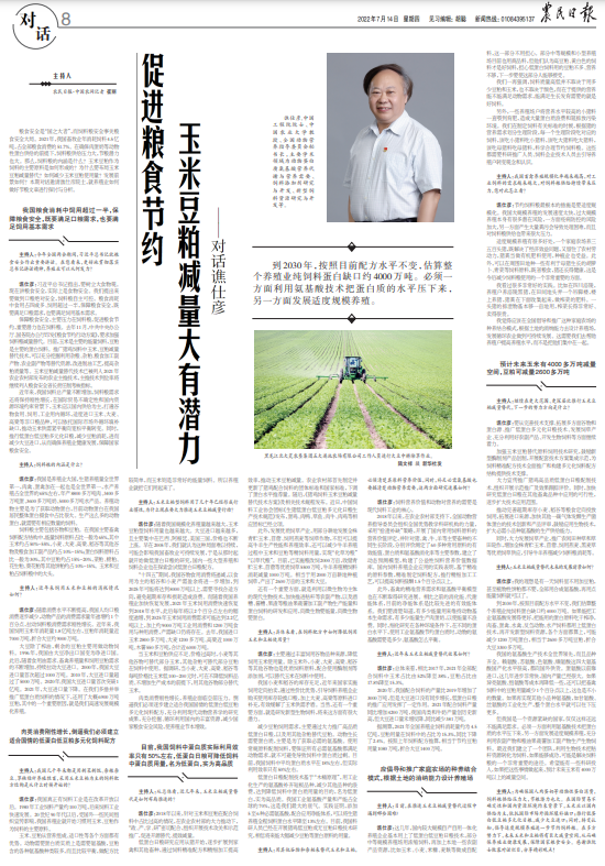 节粮内容怎么写
