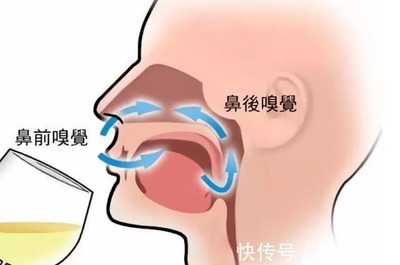 舌头发咸是怎么回事
