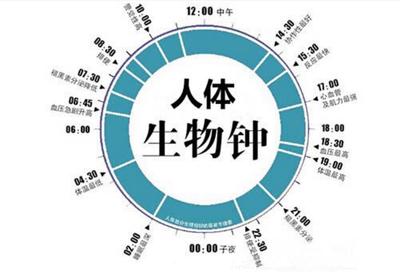 生物钟日夜颠倒怎么调整