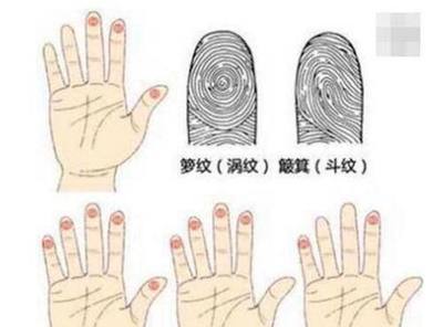 1斗9簸箕什么命运女孩