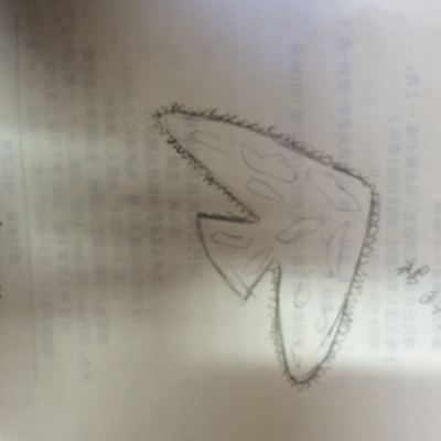 做连环梦有什么寓意