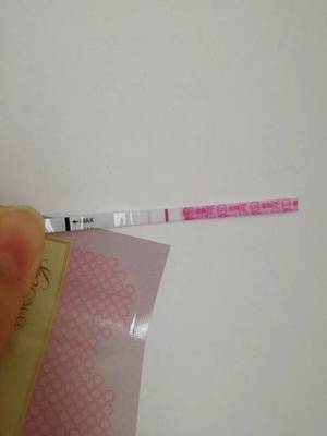 排卵期能吃感冒药吗
