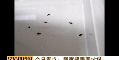 厨房厕所有蟑螂怎么办