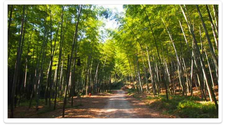 黃公望森林公園