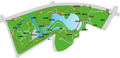 世纪公园平面图