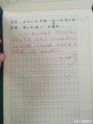 为父母洗衣服过程作文300字作文怎么写