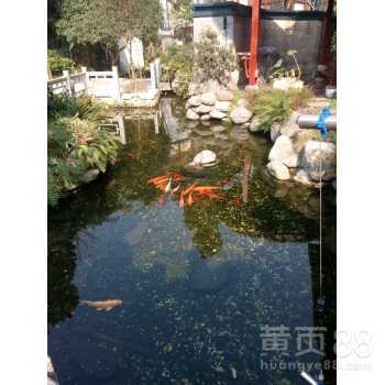 家庭鱼池设计