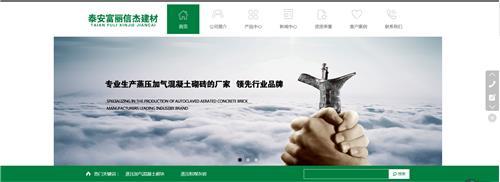 泰安网站制作,网站制作公司