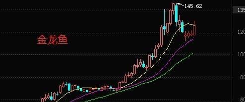 小型的鱼缸循环（小型的鱼缸循环过滤器该怎么样）