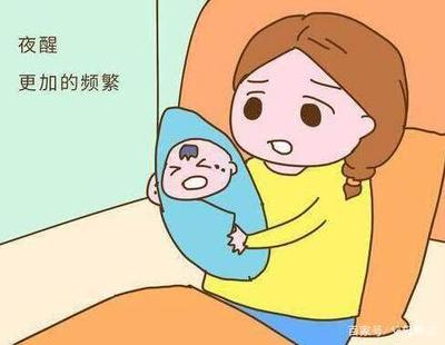 新生儿喂养次数