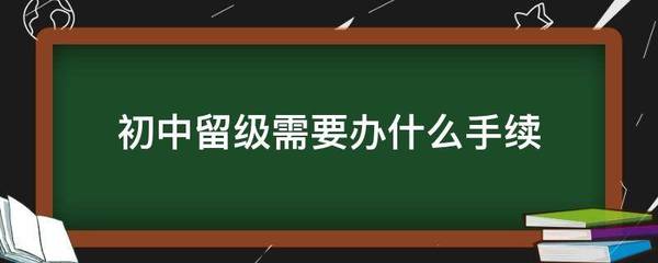 办留级需要什么手续