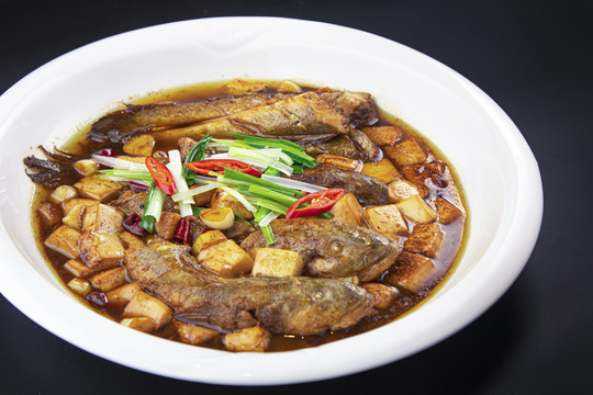 鲶鱼焖豆腐的做法大全家常