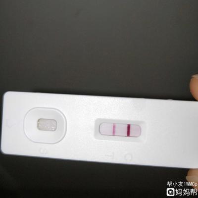人流后排卵期