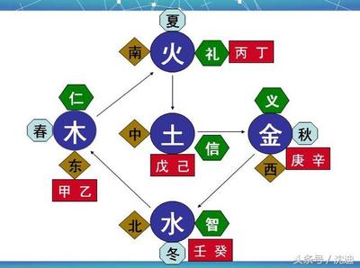 春字属于五行属什么