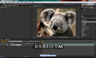 ae aex插件