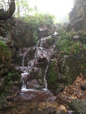 上海到莫干山多少公里