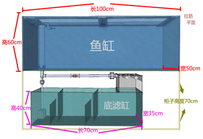 魚(yú)缸中的木頭怎么清理（魚(yú)缸中的木頭怎么清理干凈）