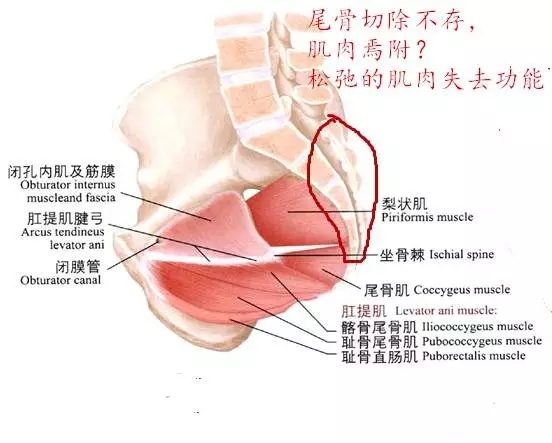 尾骨骨折怎么治疗
