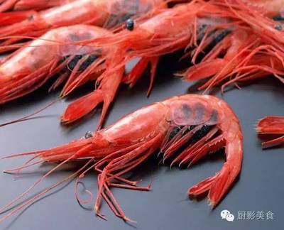 虾的名字大全