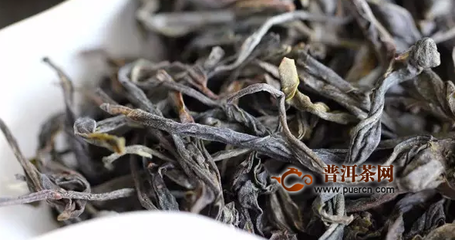 胜浦发霉的茶叶可以喝吗,安化黑茶发霉的茶叶可以喝吗