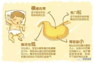 新生儿胃图片