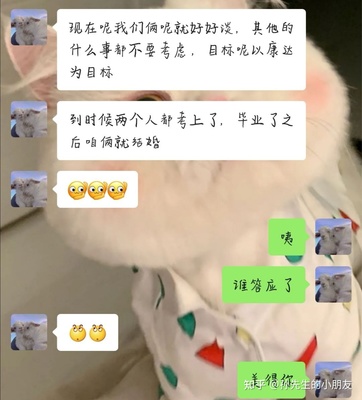 关于单恋你怎么看