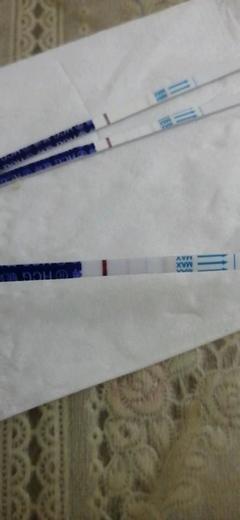 大姨妈走后几天是排卵期