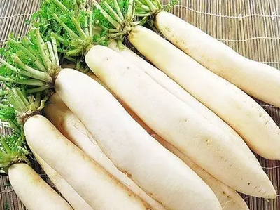 9个月宝宝可以吃白萝卜吗