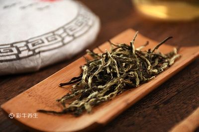 什么季节喝白茶