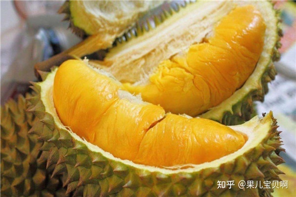 榴莲怀孕可以吃吗