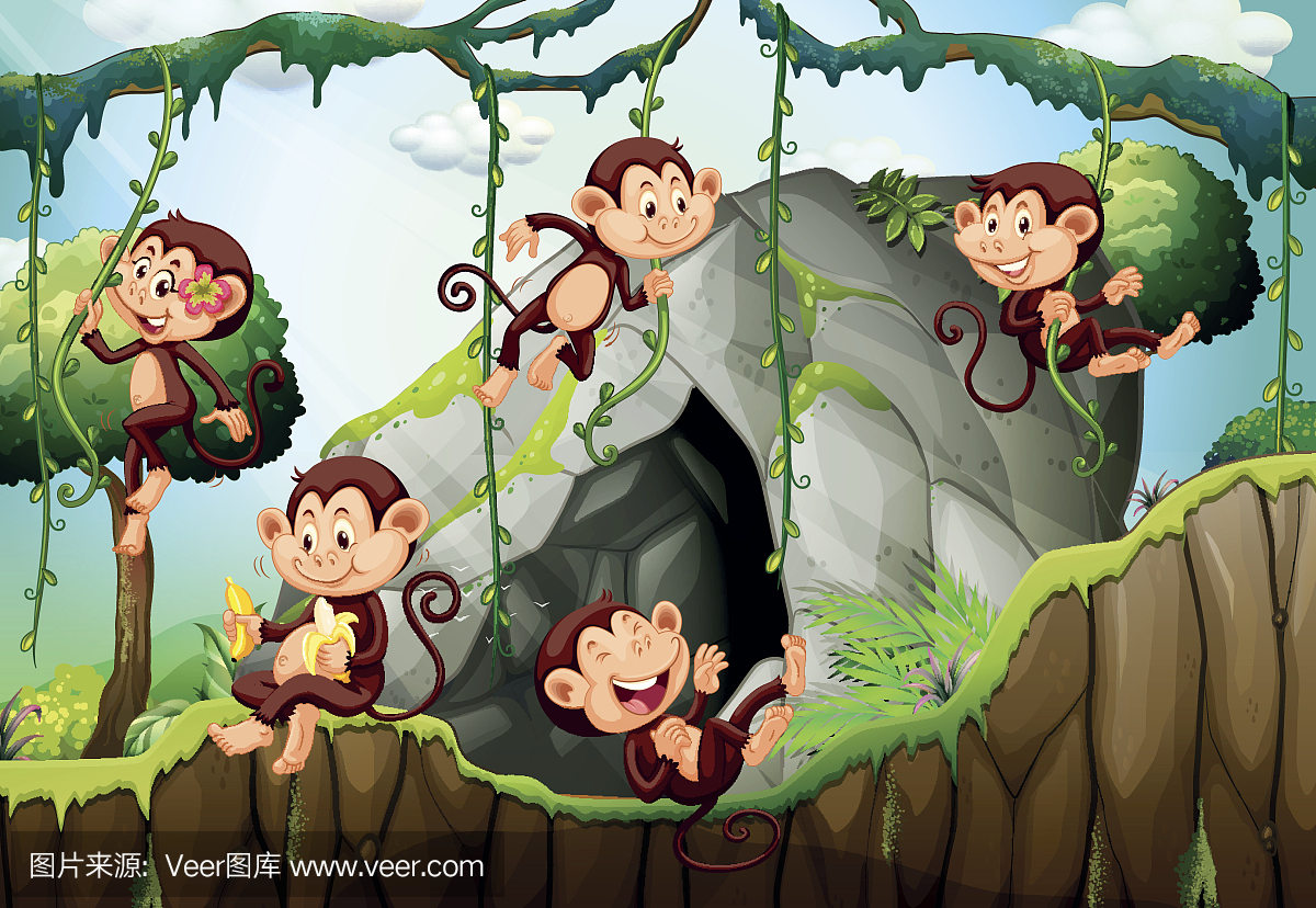五只猴子生活在森林里
