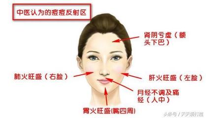 痘痘反射区