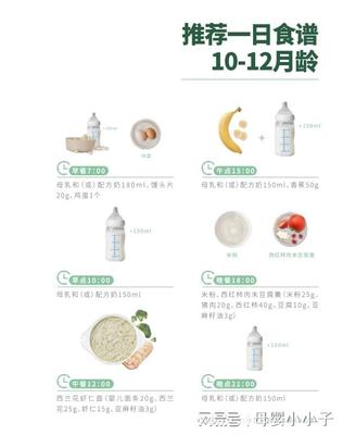 11个月宝宝一天吃几顿