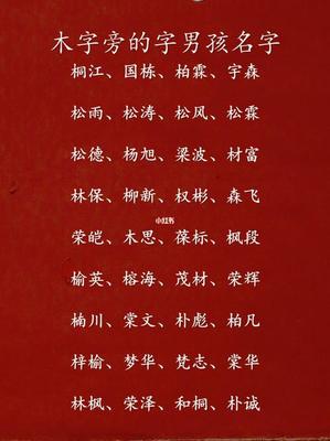 木字旁男孩取名