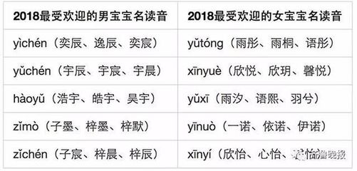 已字五行属什么