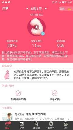 怀孕237天是多少周