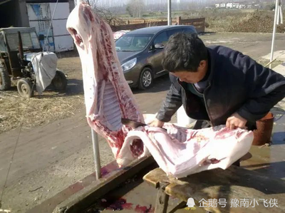 杀猪犯法吗