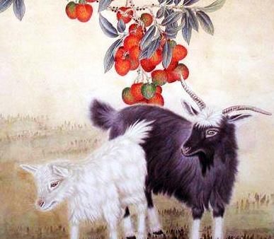 七几年属羊