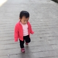 怀孕12周胎儿会动吗