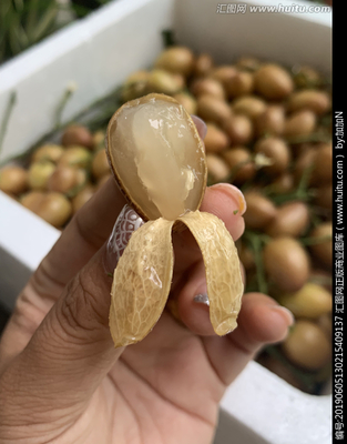 黄皮果焖鸡的制作方法