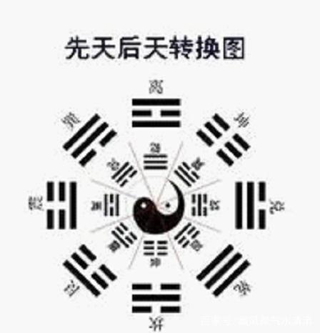 九画的生肖是什么生肖