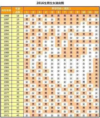 宫廷怀孕表