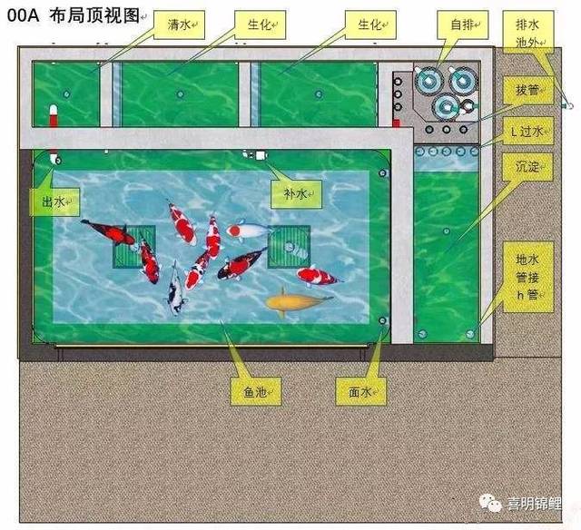 鱼池过滤设计