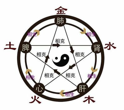 五行易经