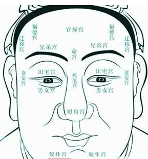 面相 人中