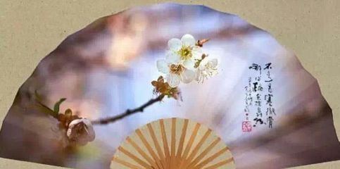 淡泊的网名