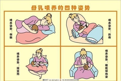 哺乳到几个月断奶最好